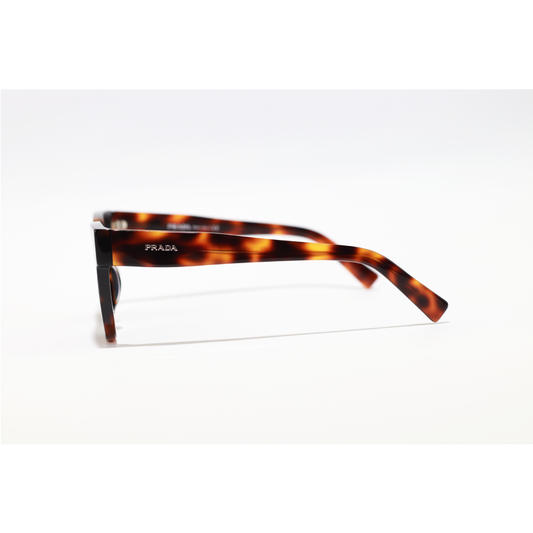 Premium Sunglasses