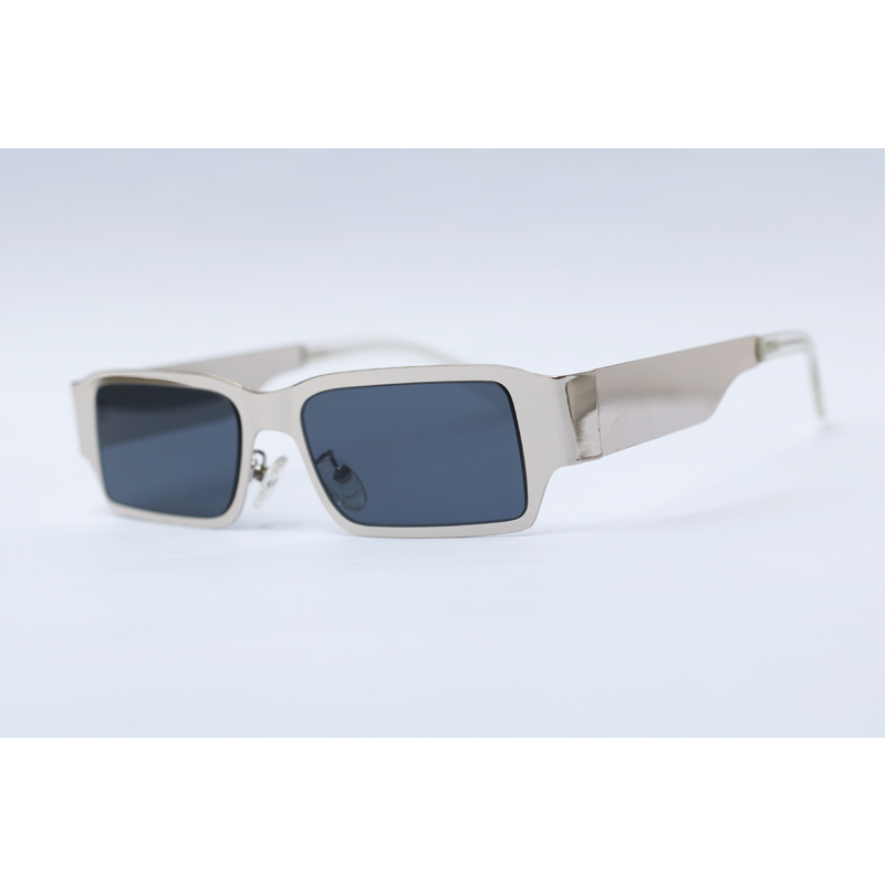 Robotic Sunglasses