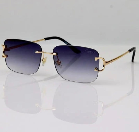 Gafas de sol Cartier Jeff | Elegancia clásica y estilo moderno de Wearluxurys