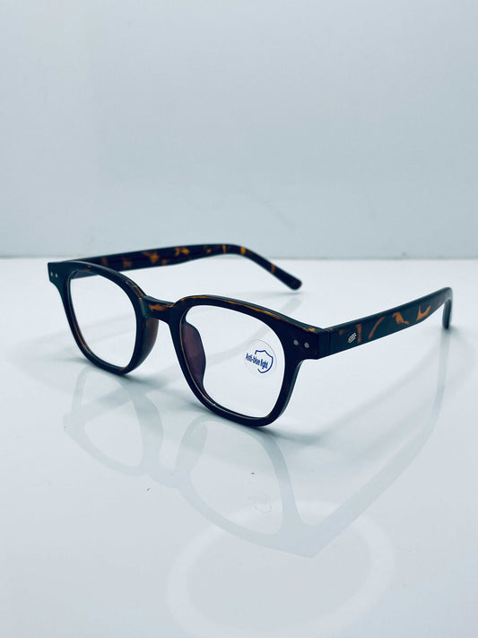 Visionz Eyeglasses!